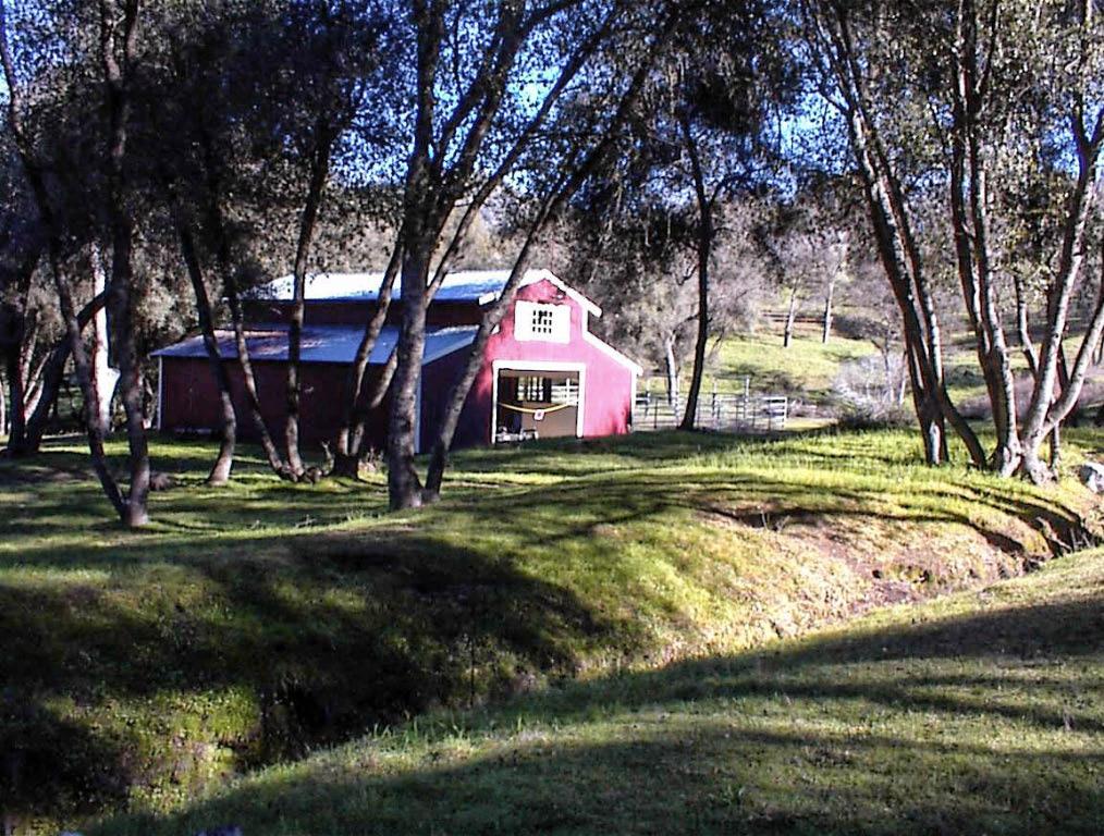45483 Sand Creek Road Squaw Valley, CA 93675 - Photo 9 of 80 a front view of house with yard and green space