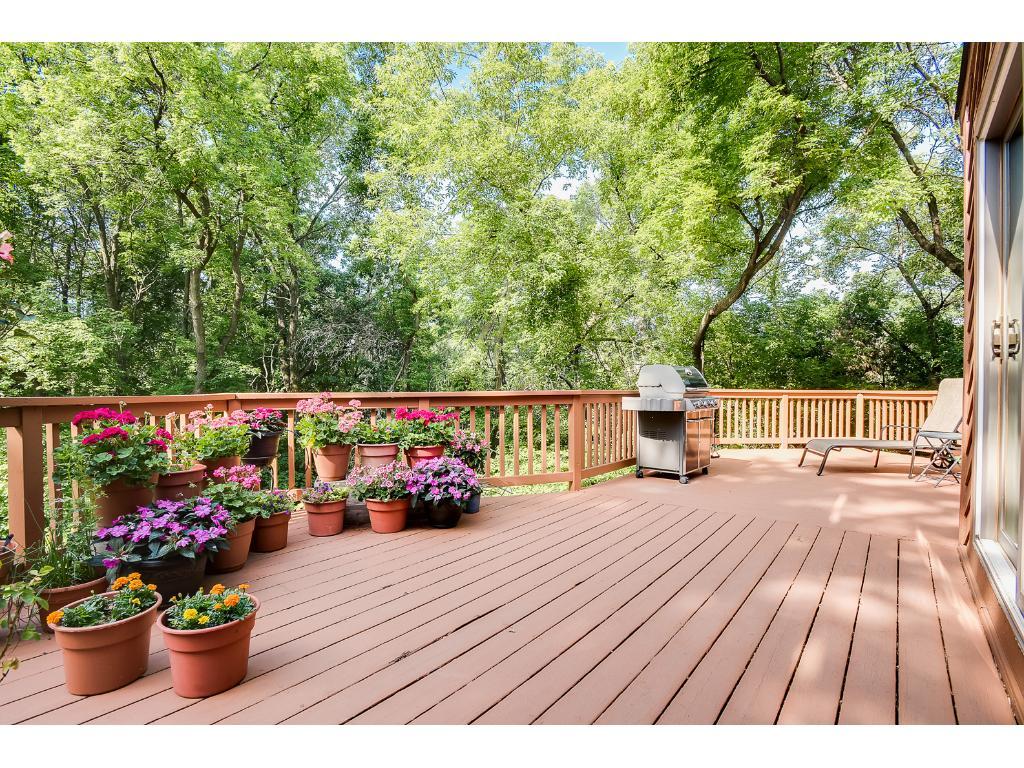 15111 Linner Ridge Wayzata, MN 55391 - Photo 23 of 24 Gallery Image 23