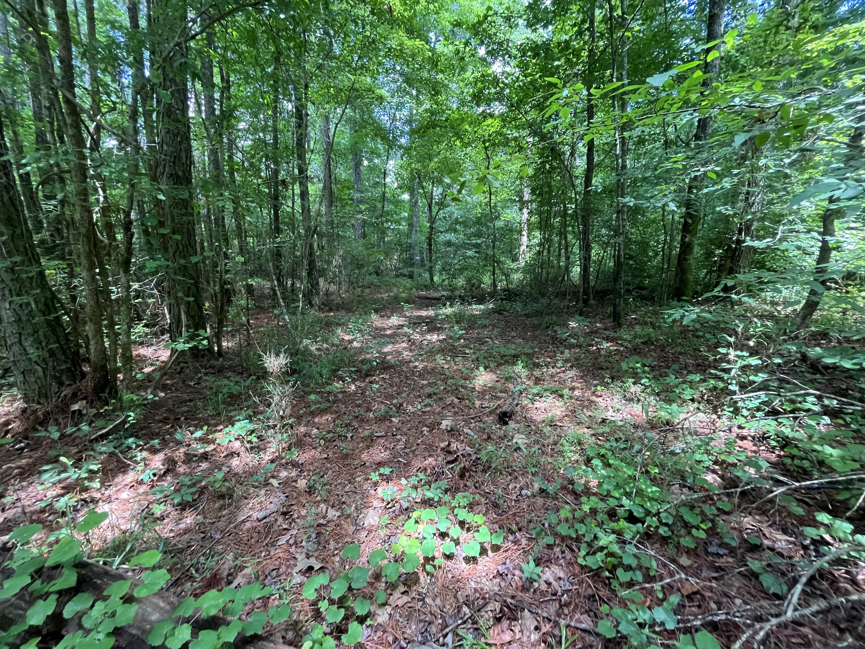 30 Hughes Lake Road Southeast Cleveland, TN 37323 - Photo 4 of 4 Photo Jun 09, 12 47 01 PM