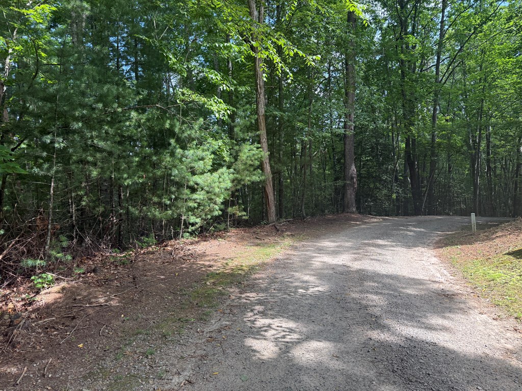 0 Guy Eller Road Murphy, NC 28906 - Photo 4 of 6