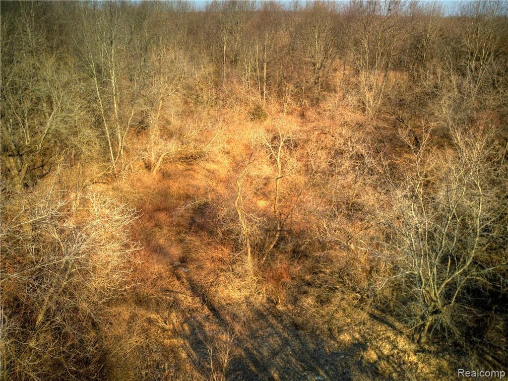 0 King Road Howell, MI 48843 - Photo 24 of 35