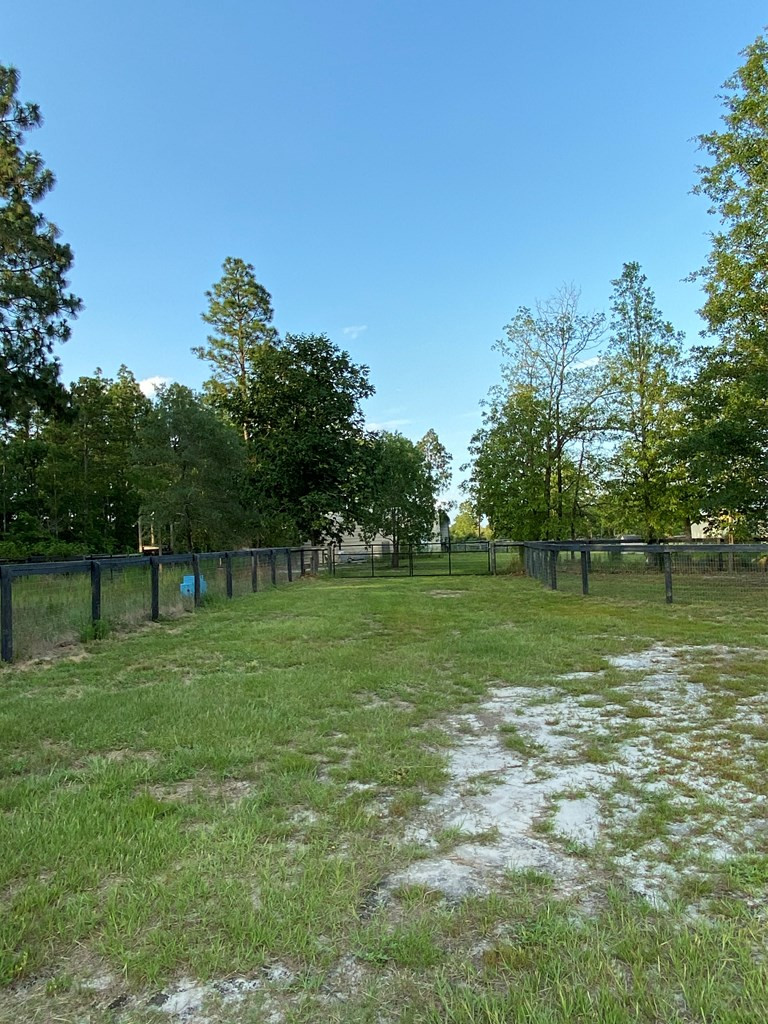 136 Britton Road Windsor, SC 29856 - Photo 37 of 60 a backyard of a house with lots of green space
