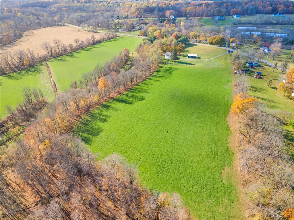 1096 Victor Road Macedon, NY 14502 - Photo 35 of 49