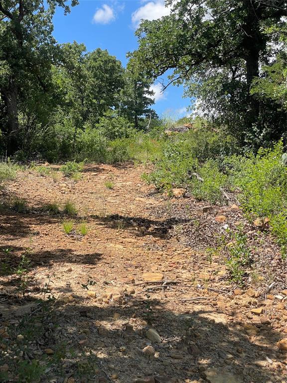 0 Lower Tonk Valley Road Graham, TX 76450 - Photo 8 of 35