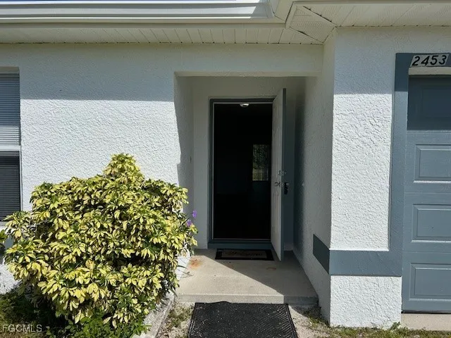 a potted plant sitting in front of a door