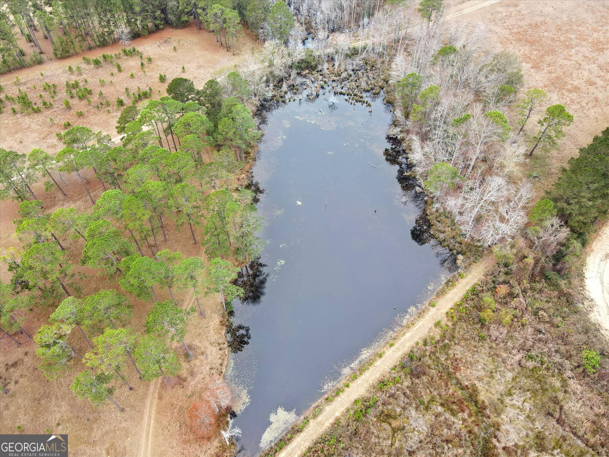 10544 Burkhalter Road Statesboro, GA 30461 - Photo 59 of 67