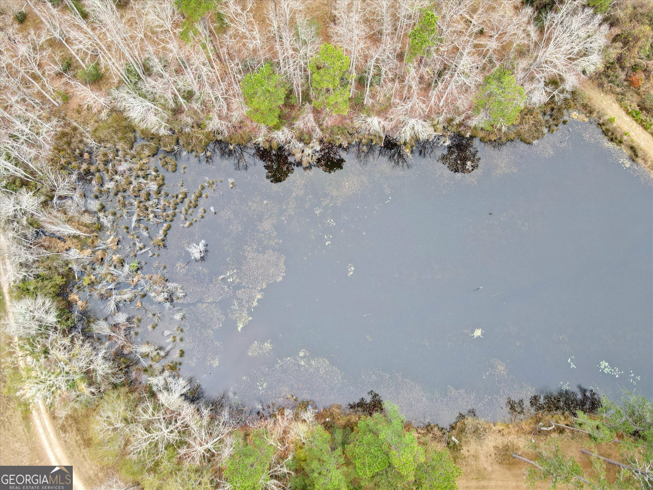 10544 Burkhalter Road Statesboro, GA 30461 - Photo 60 of 67