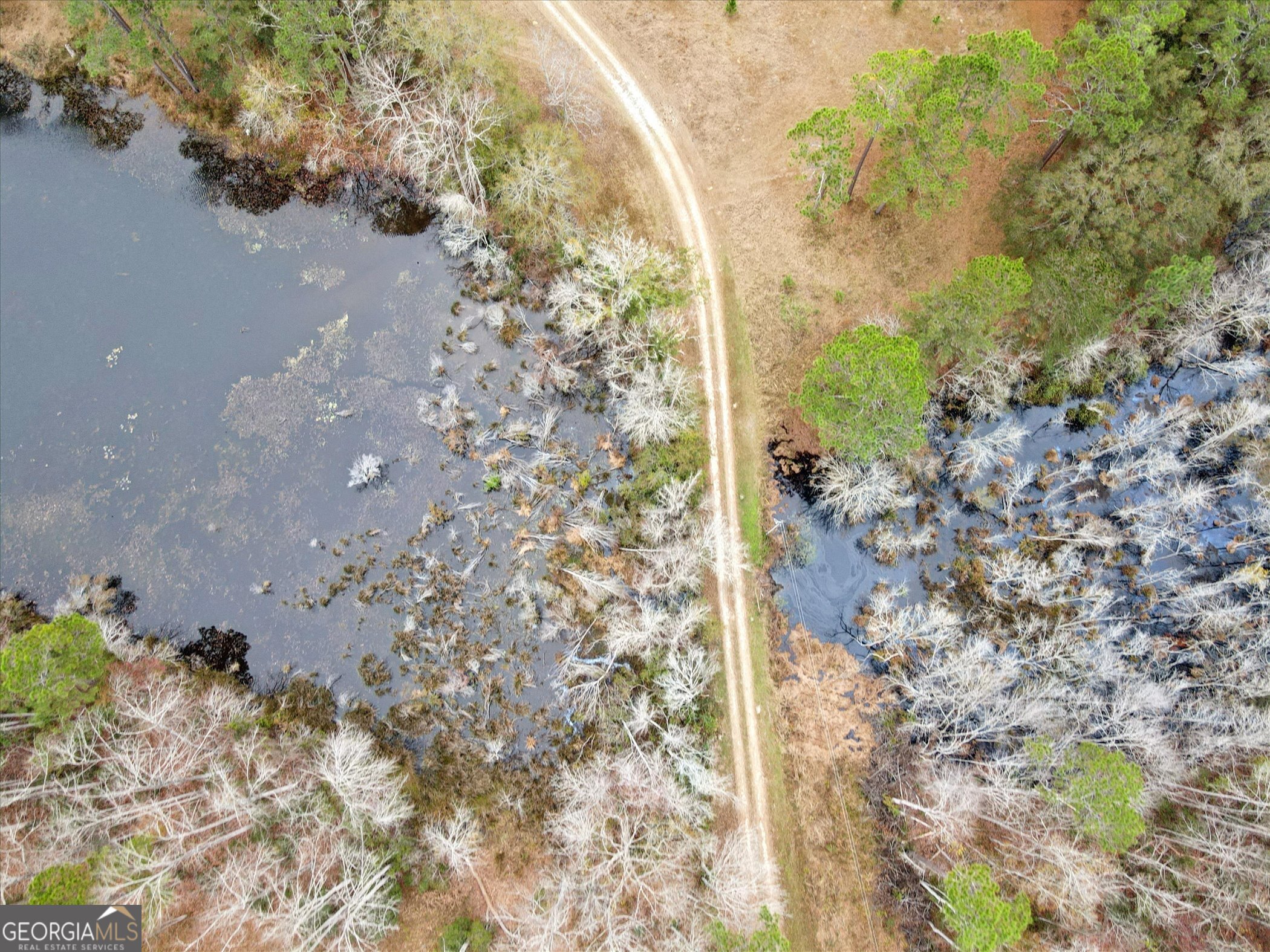 10544 Burkhalter Road Statesboro, GA 30461 - Photo 61 of 67