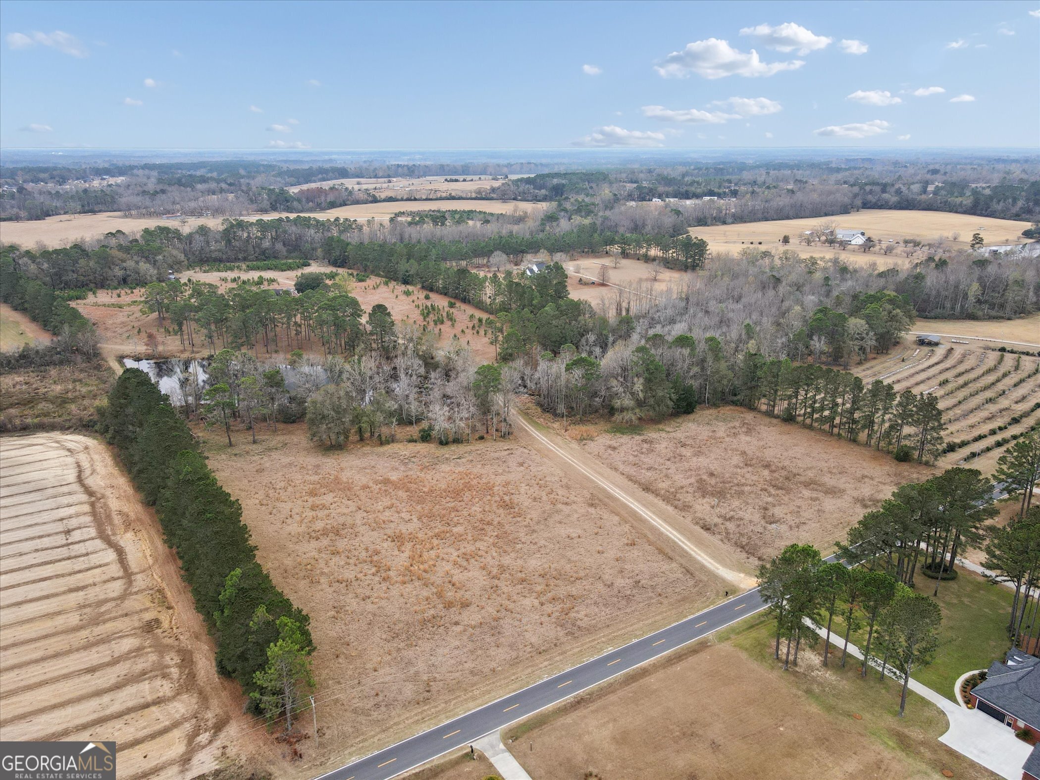 10544 Burkhalter Road Statesboro, GA 30461 - Photo 66 of 67 a view of a lake