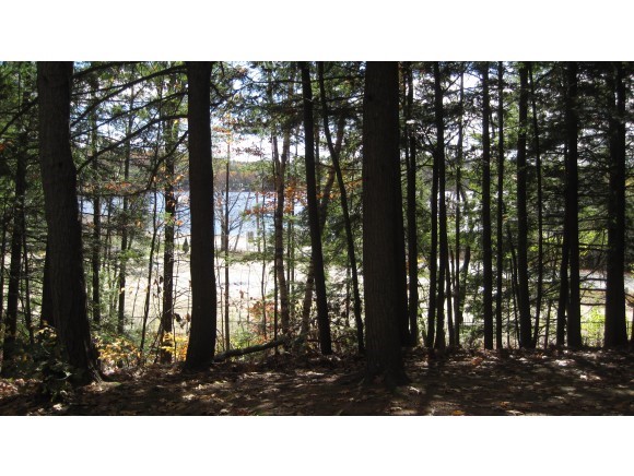 159 Squantum Road Jaffrey, NH 03452 - Photo 2 of 18
