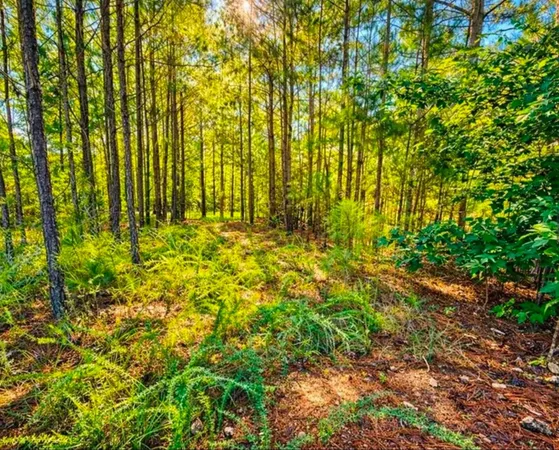 $80,000 | 406 Terrapin Pointe Road, Hodges, SC 29653