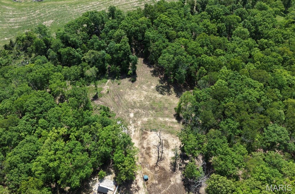724 River Trails Road Union, MO 63084 - Photo 17 of 81