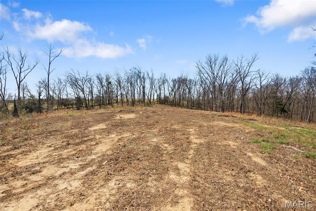 724 River Trails Road Union, MO 63084 - Photo 66 of 79