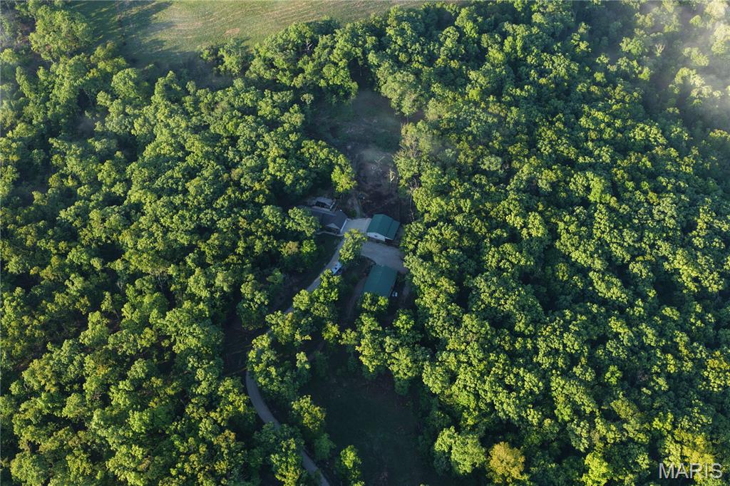 724 River Trails Road Union, MO 63084 - Photo 76 of 79