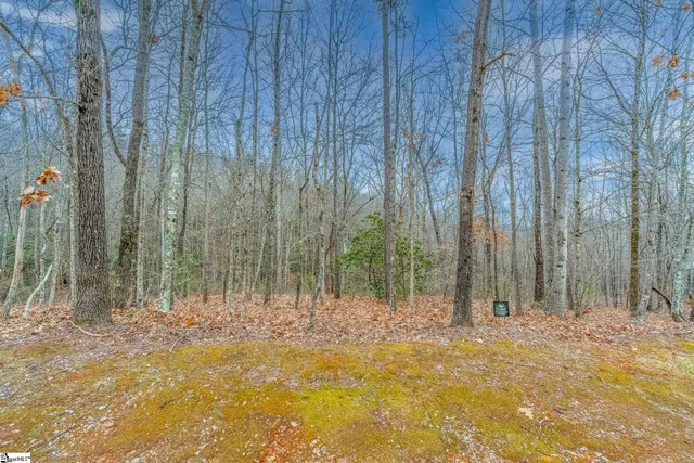 $129,000 | 30 Lakes Edge Way, Marietta, SC 29661