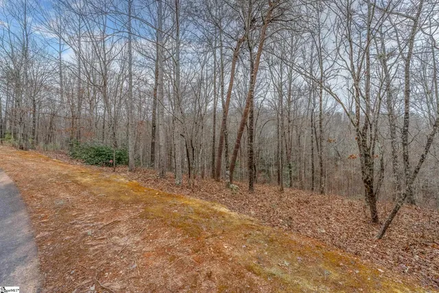 $129,000 | 30 Lakes Edge Way, Marietta, SC 29661