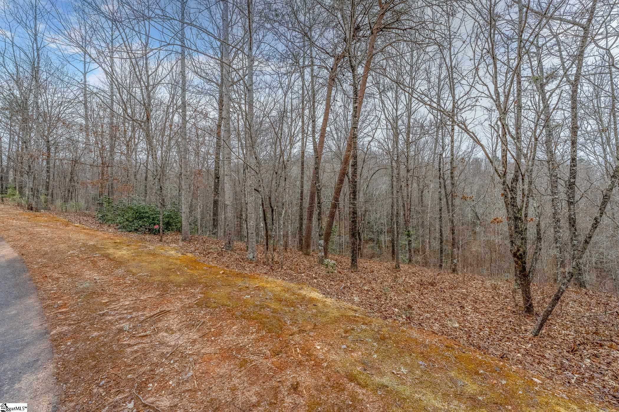 30 Lakes Edge Way Marietta, SC 29661 - Photo 3 of 15