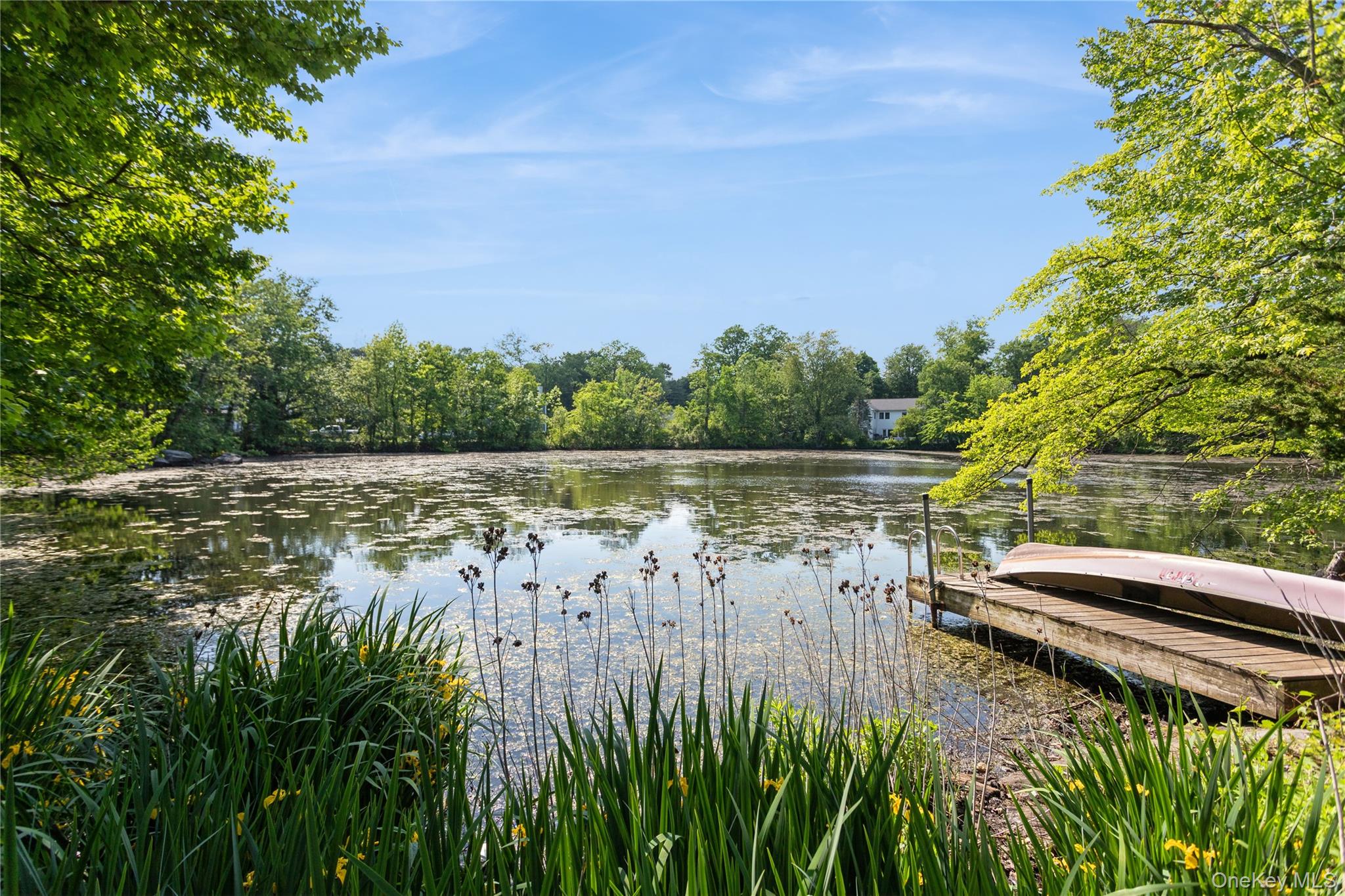 9 Marlene Court Rye, NY 10580 - Photo 31 of 37