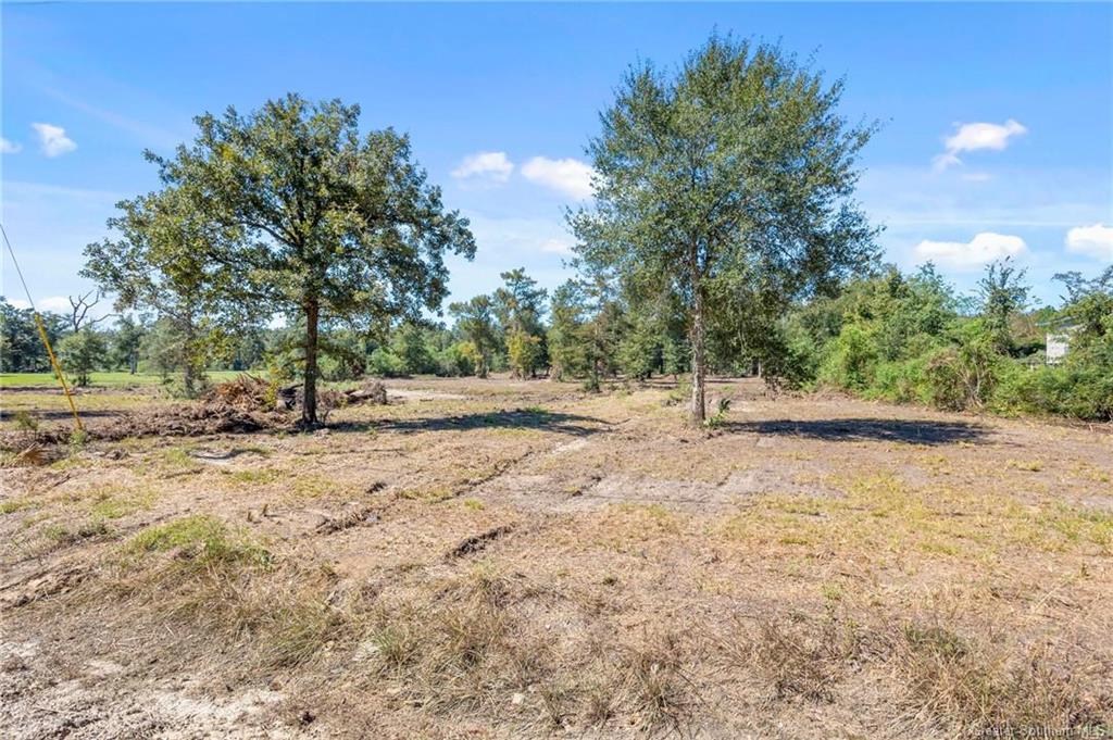 0 Blackmon Road Lake Charles, LA 70611 - Photo 3 of 7 Gallery Image 3
