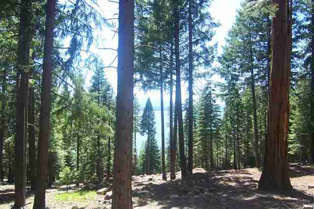 621 West Mountain Ridge Road, Unit 18 Lake Almanor, CA 96137 - Photo 3 of 4