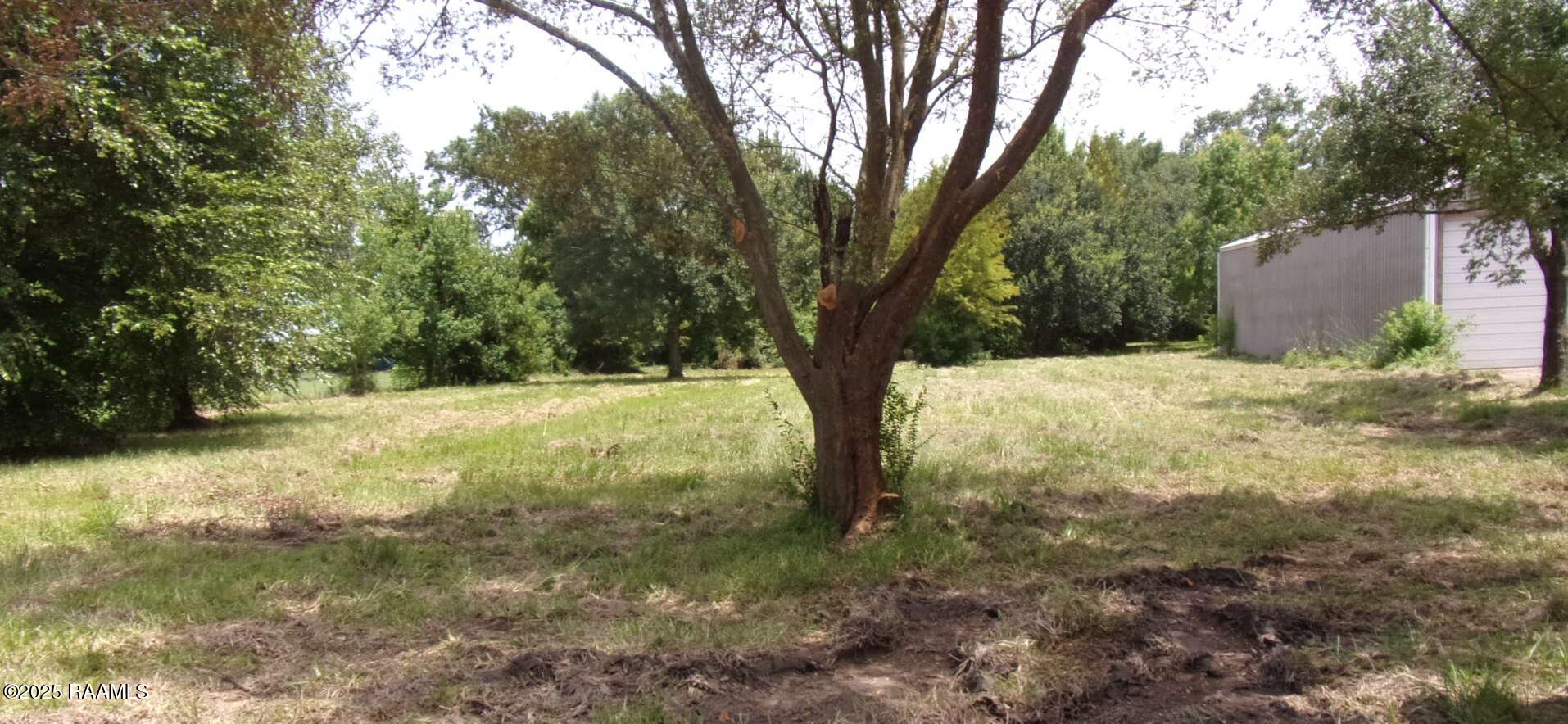 5615 L Romero Road New Iberia, LA 70560 - Photo 8 of 10 backyard and metal building