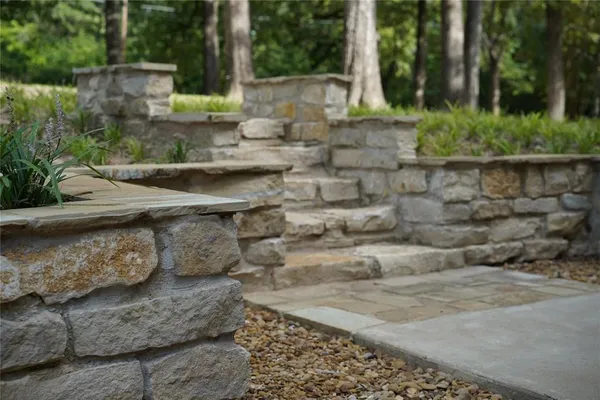 a view of a yard with plants
