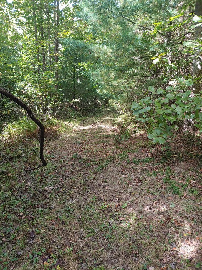 0 Reece Road Southwest Willis, VA 24380 - Photo 21 of 21 Gallery Image 21