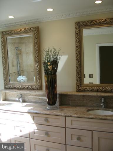 241 Springvale Road Great Falls, VA 22066 - Photo 12 of 30 Bath (Master)