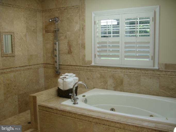241 Springvale Road Great Falls, VA 22066 - Photo 27 of 30 Bath (Master)