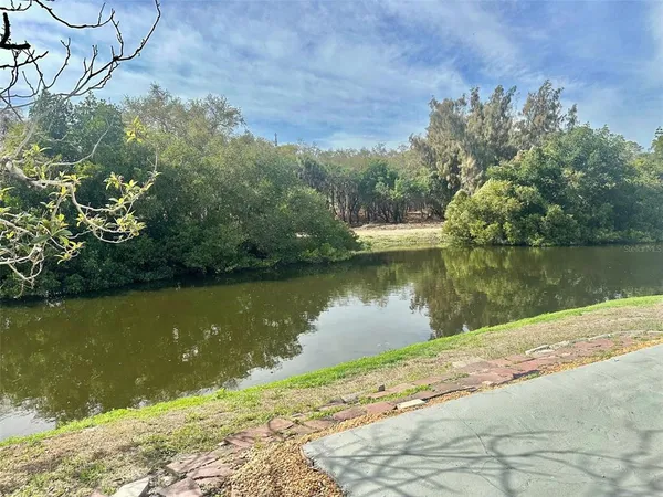 a view of a lake from a yard