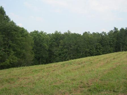 1354 Birdie Road Lawrenceburg, KY 40342 - Photo 43 of 55 Photo 43
