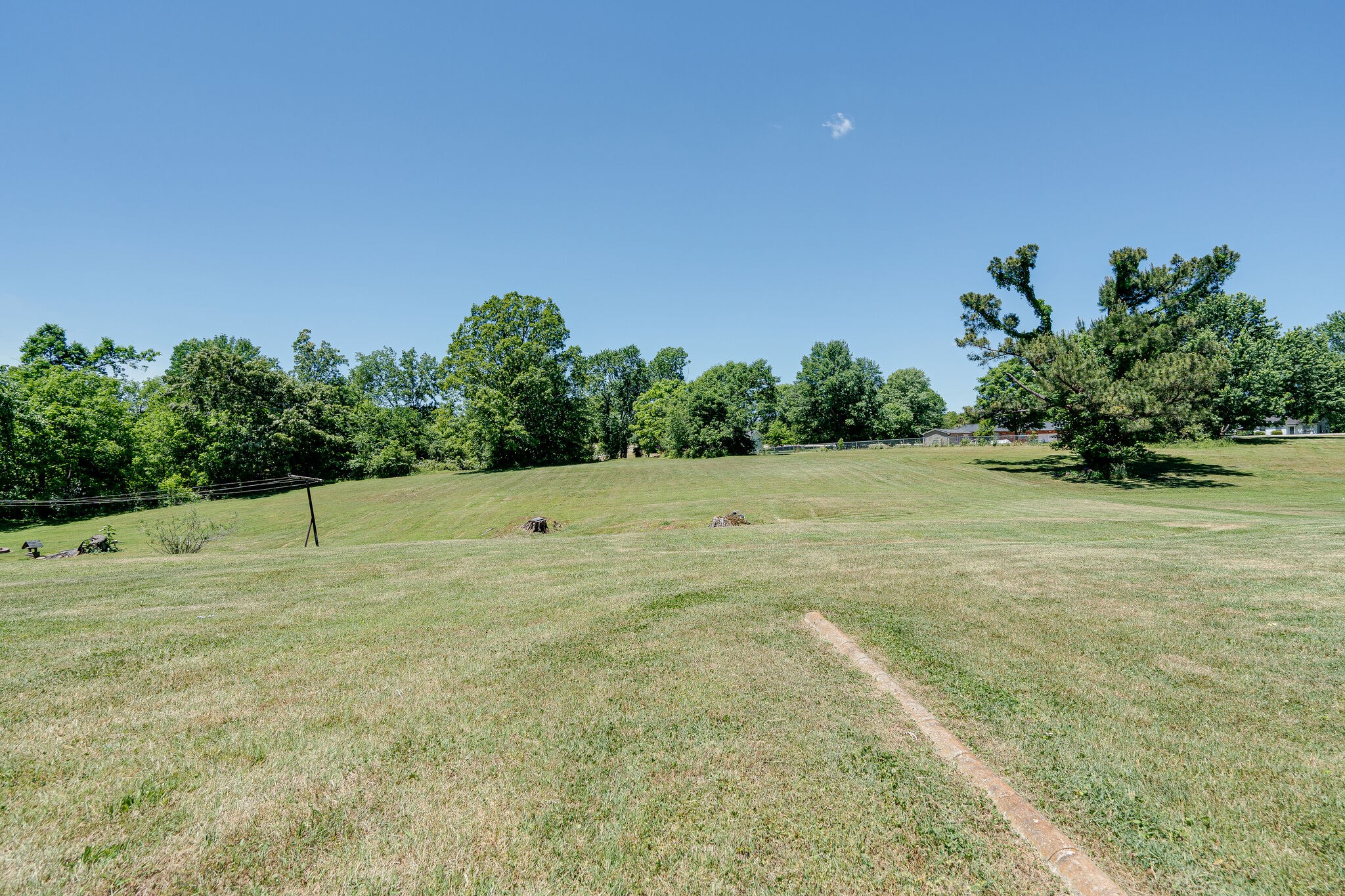 7524 Gary Road Joelton, TN 37080 - Photo 26 of 29 a view of a dry yard with a tree