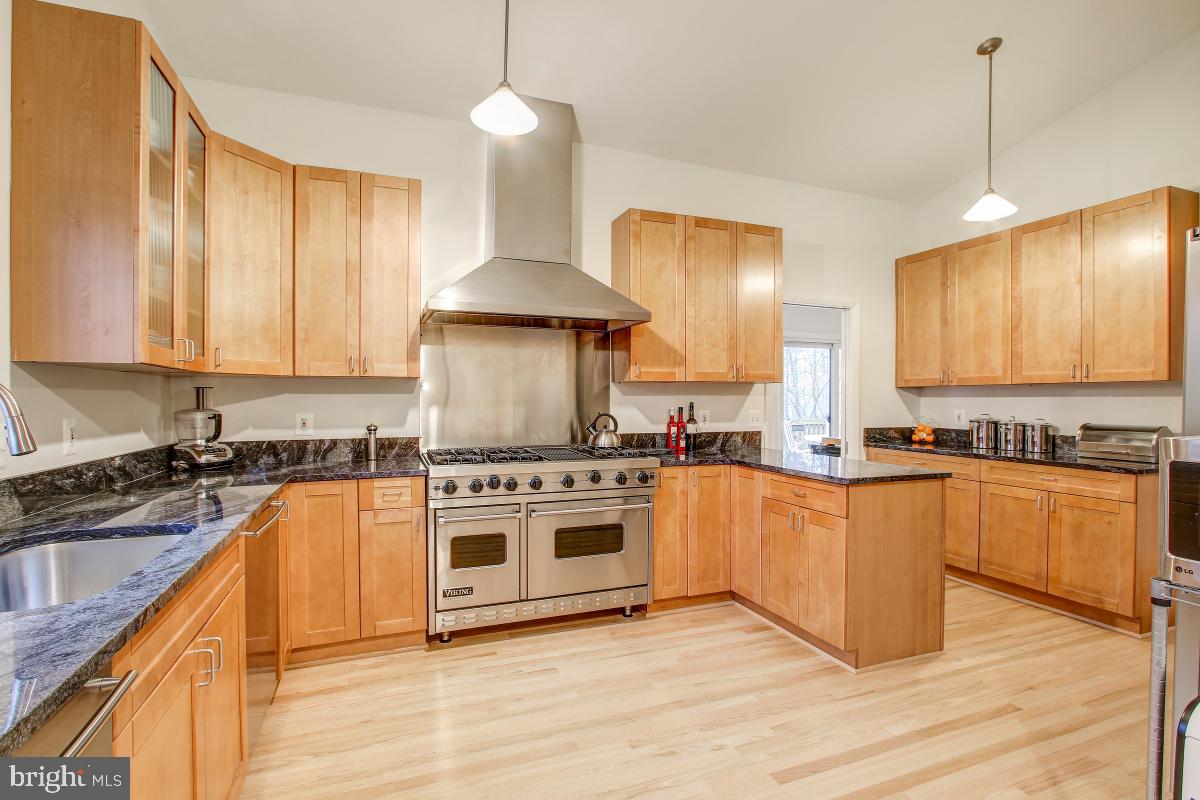 2081 Amberjack Court Reston, VA 20191 - Photo 11 of 35 Seemingly endless cabinet space!