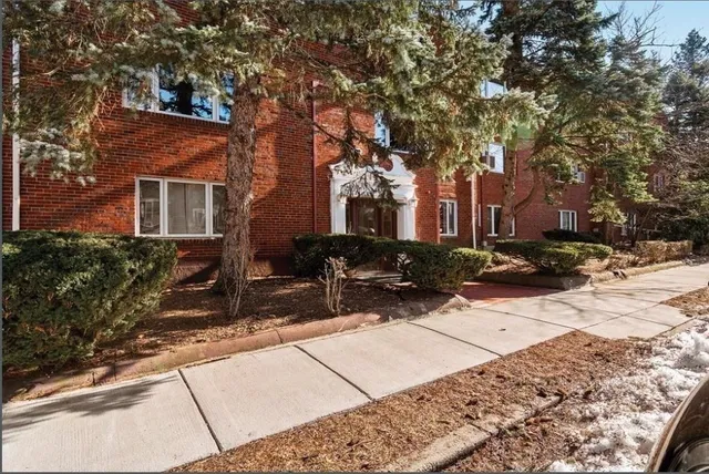 a row of palm trees in front of a house