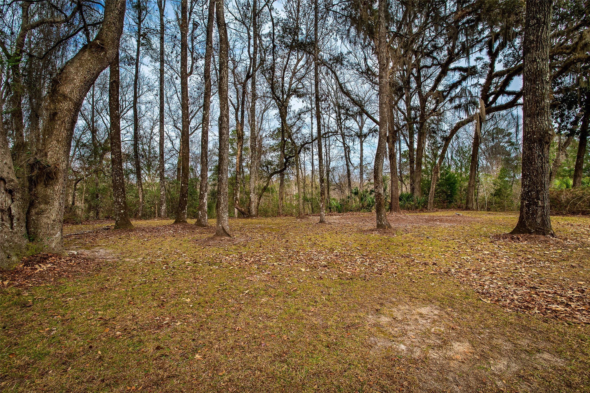 28175 Hammock Road Hilliard, FL 32046 - Photo 14 of 33 a view of outdoor space with trees