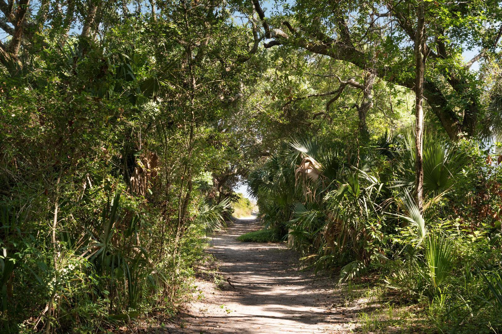 14 55th Avenue Isle of Palms, SC 29451 - Photo 3 of 50 116