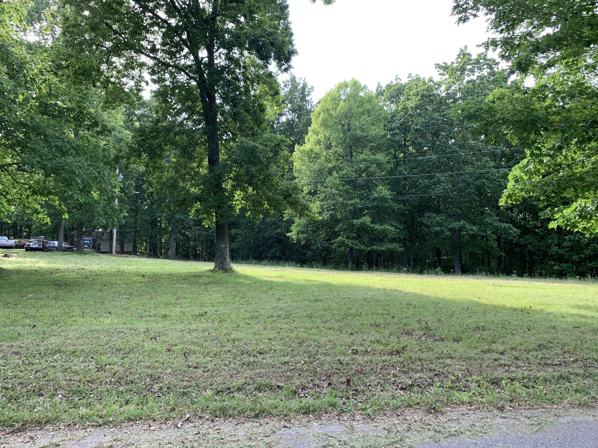 886 Overhead Bridge Road Hampshire, TN 38461 - Photo 6 of 13 Gallery Image 6