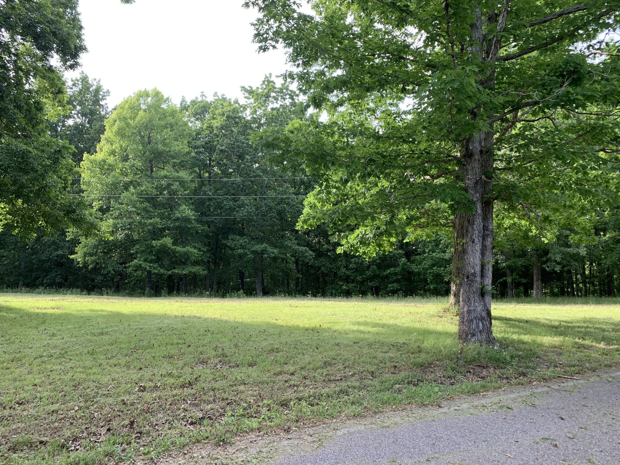 886 Overhead Bridge Road Hampshire, TN 38461 - Photo 7 of 13 Gallery Image 7