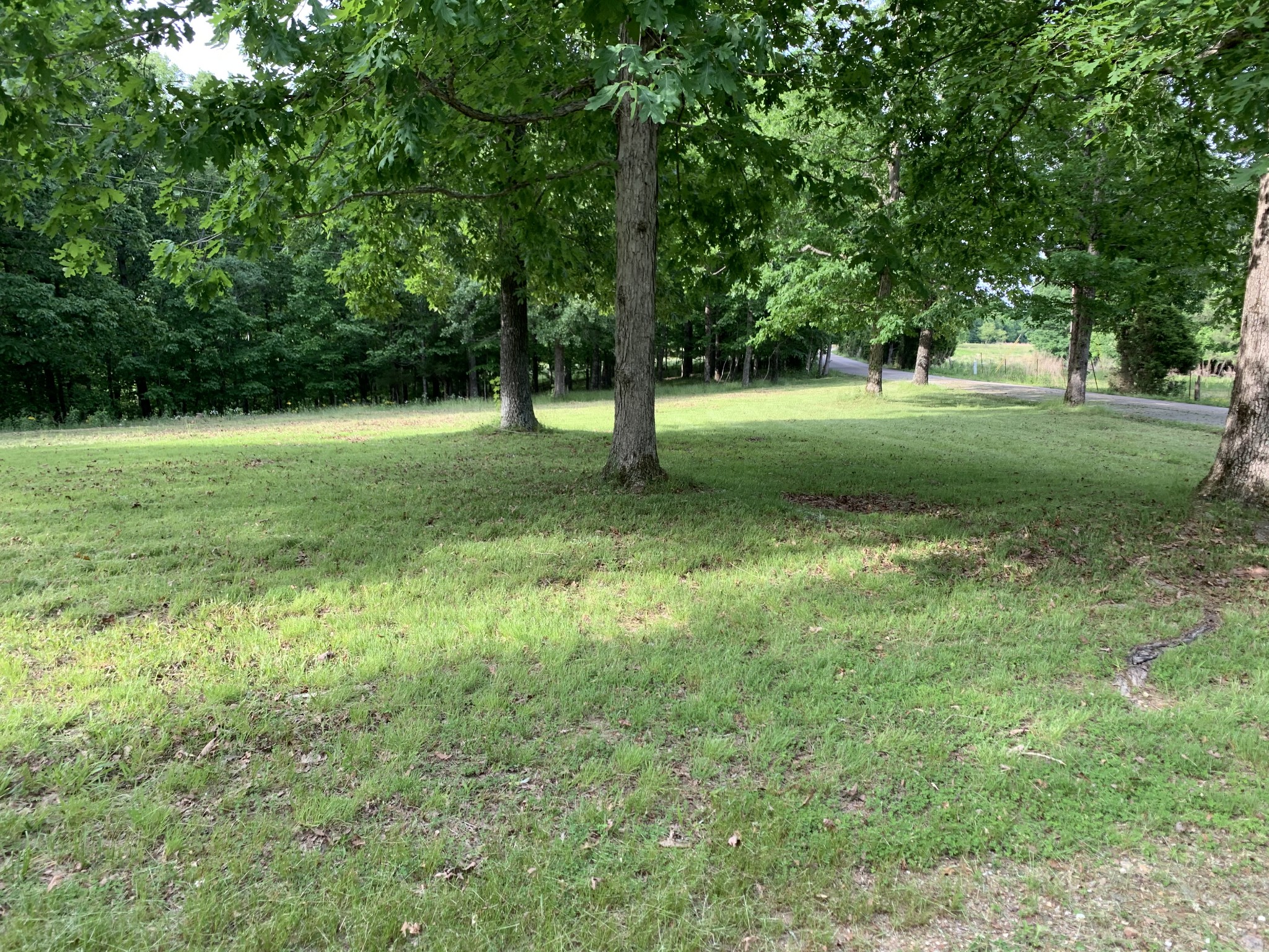 886 Overhead Bridge Road Hampshire, TN 38461 - Photo 9 of 13 Gallery Image 9