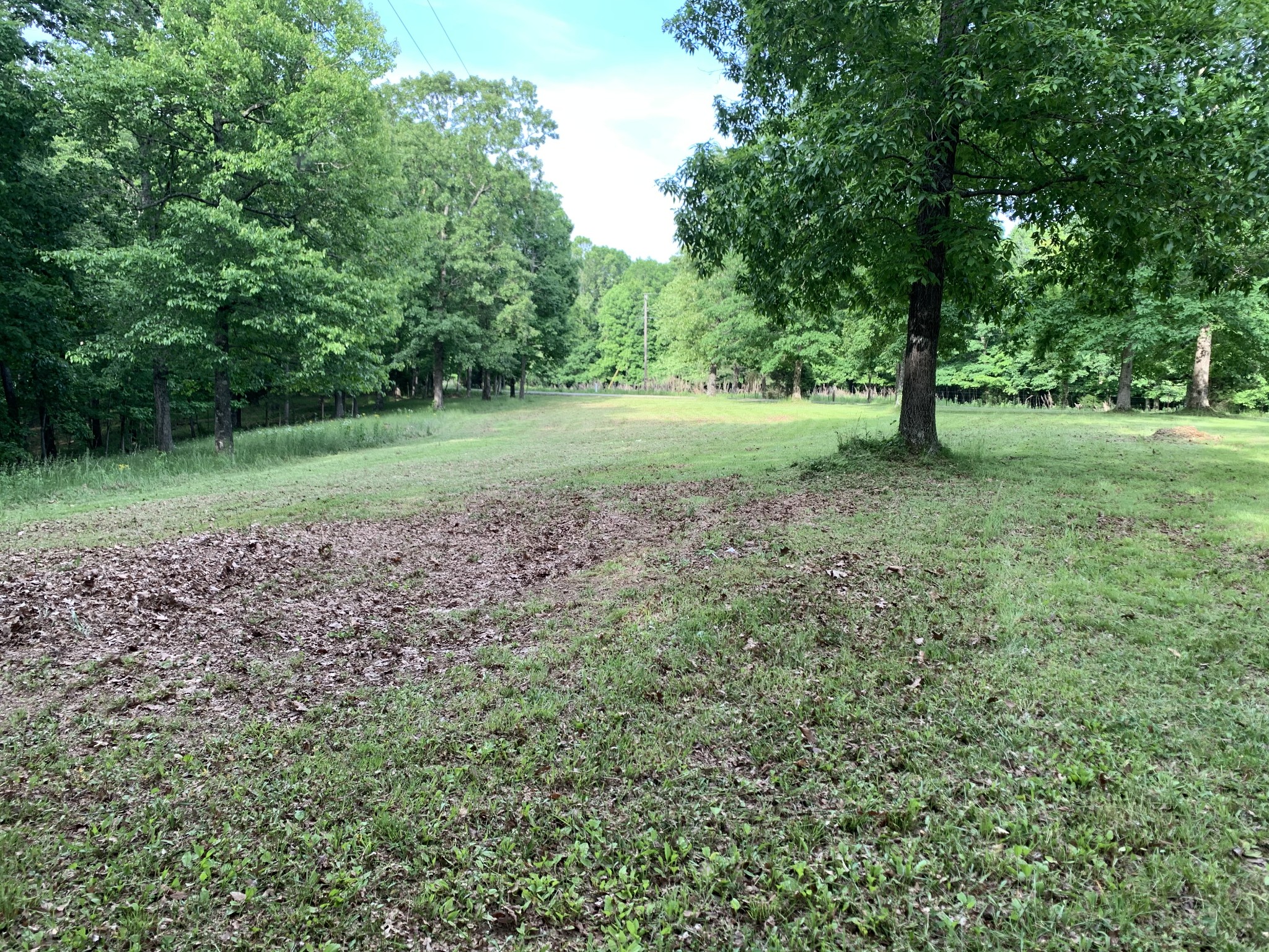 886 Overhead Bridge Road Hampshire, TN 38461 - Photo 10 of 13 Gallery Image 10