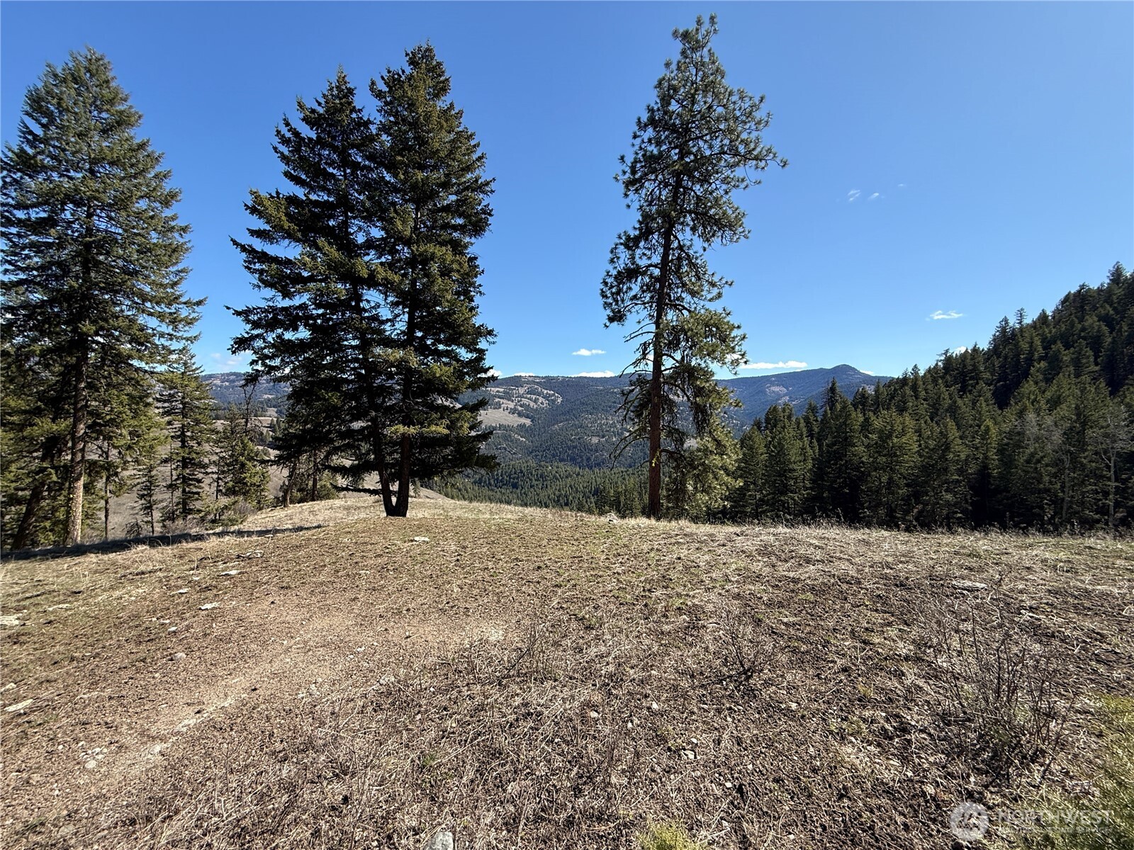 0 Coogan Creek Road Wauconda, WA 98859 - Photo 11 of 18 a street view covered with snow
