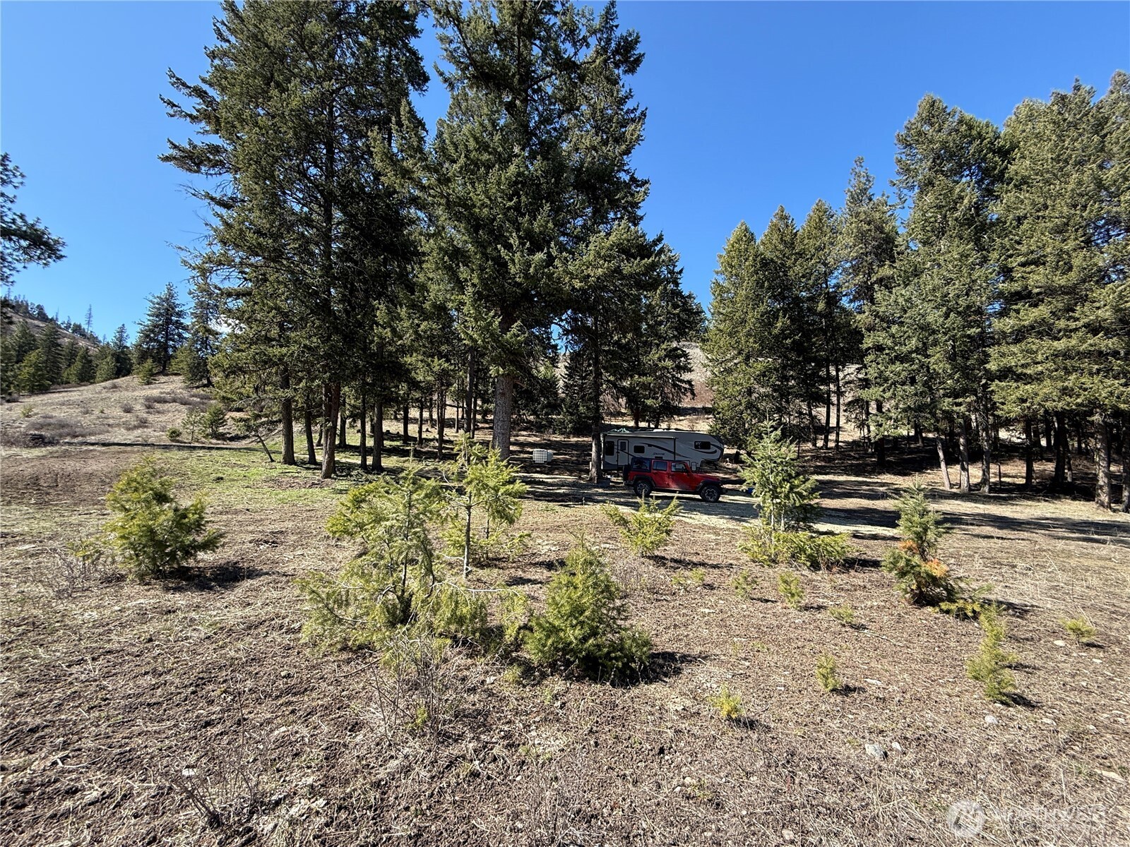 0 Coogan Creek Road Wauconda, WA 98859 - Photo 14 of 18 a backyard of a house with a tree