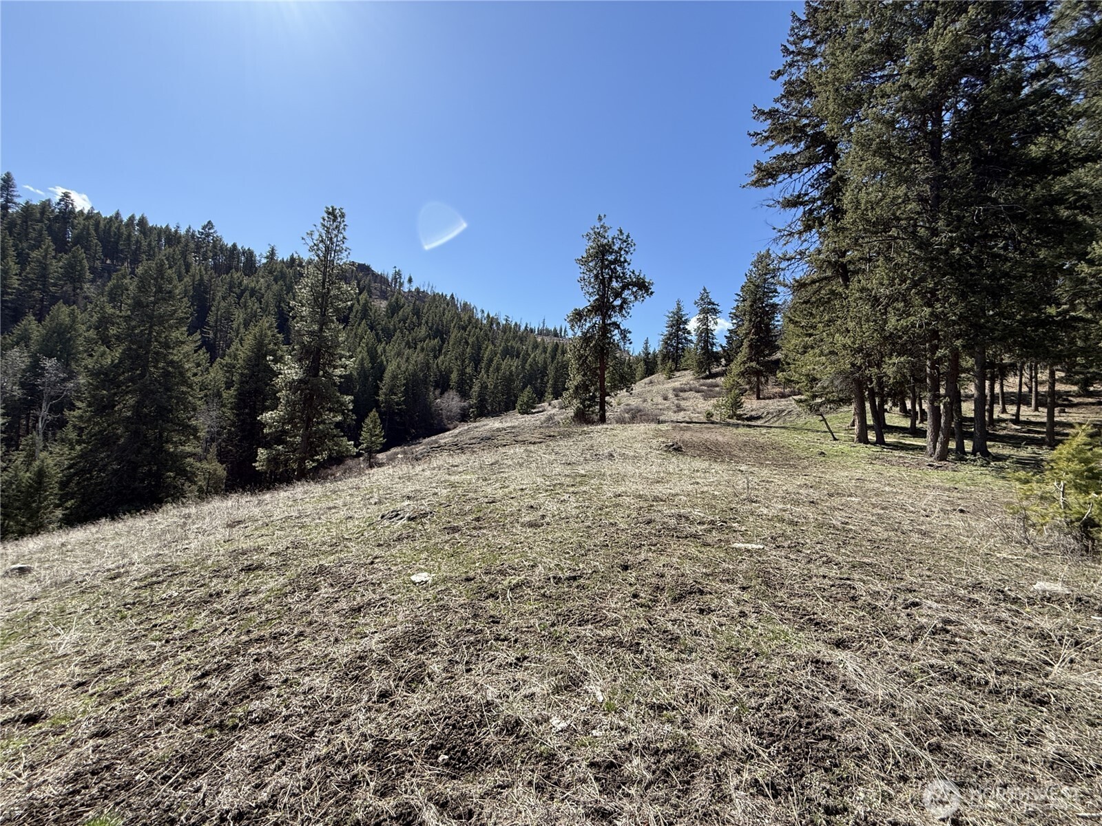 0 Coogan Creek Road Wauconda, WA 98859 - Photo 15 of 18 a view of a covered with snow in the background