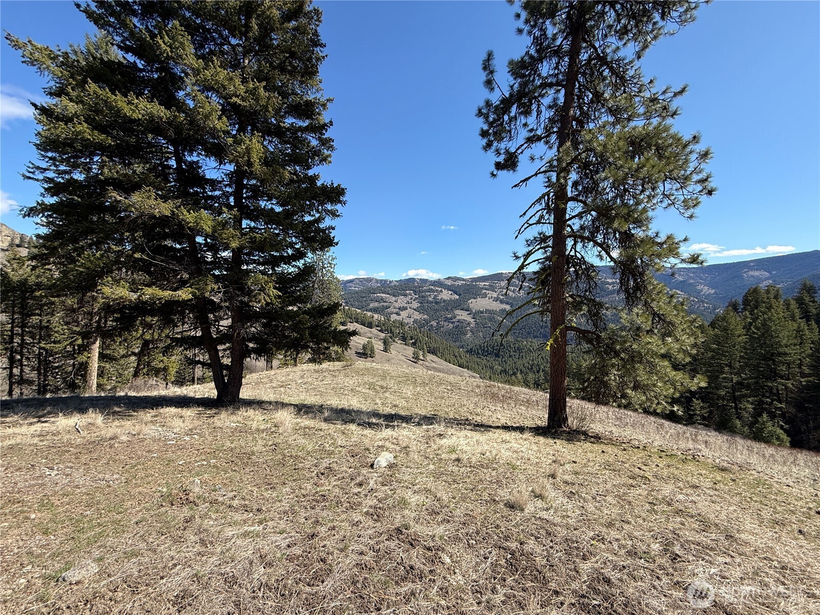 0 Coogan Creek Road Wauconda, WA 98859 - Photo 16 of 18 a view of empty space with mountain view
