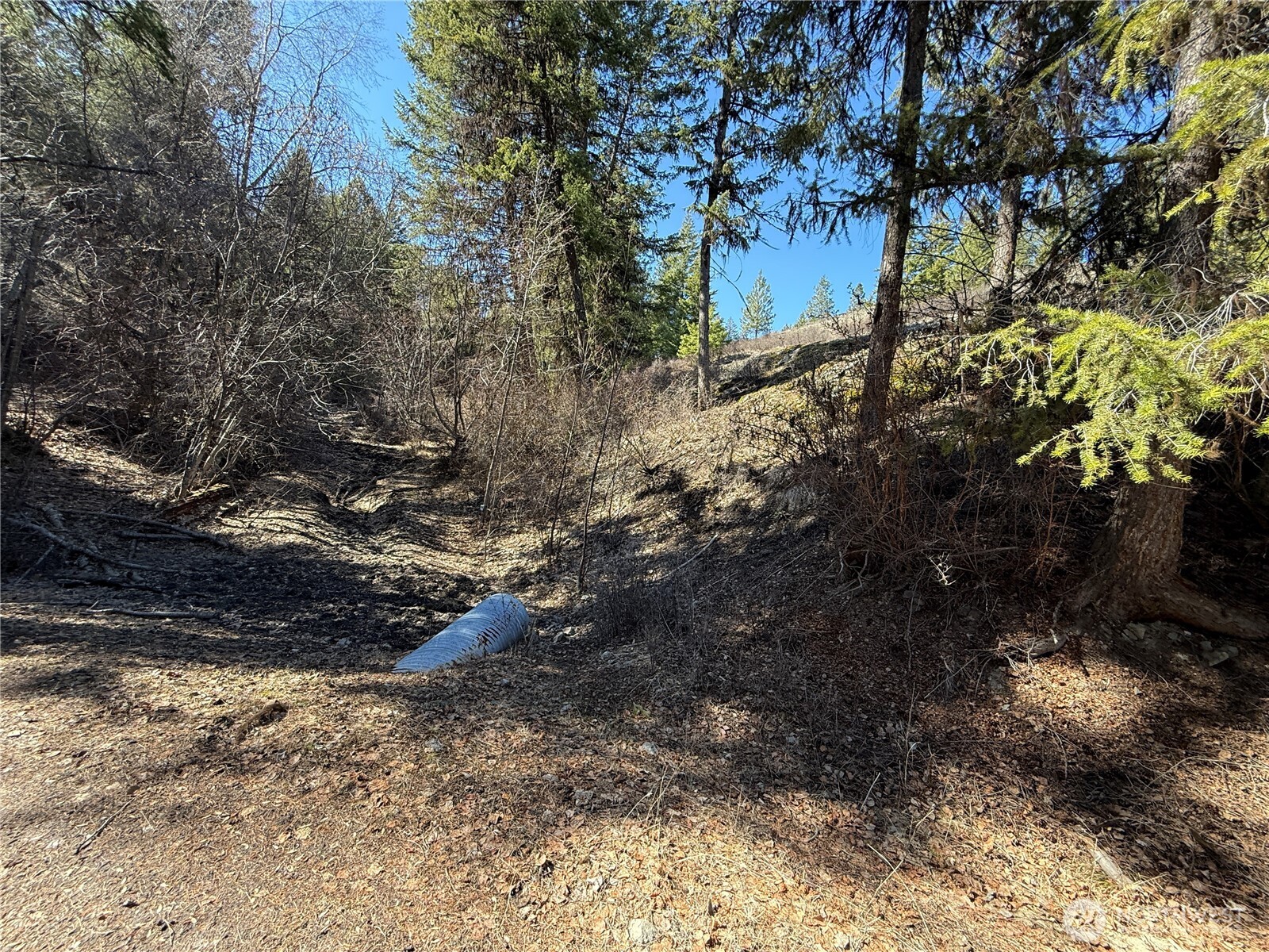 0 Coogan Creek Road Wauconda, WA 98859 - Photo 5 of 18 a backyard of a house