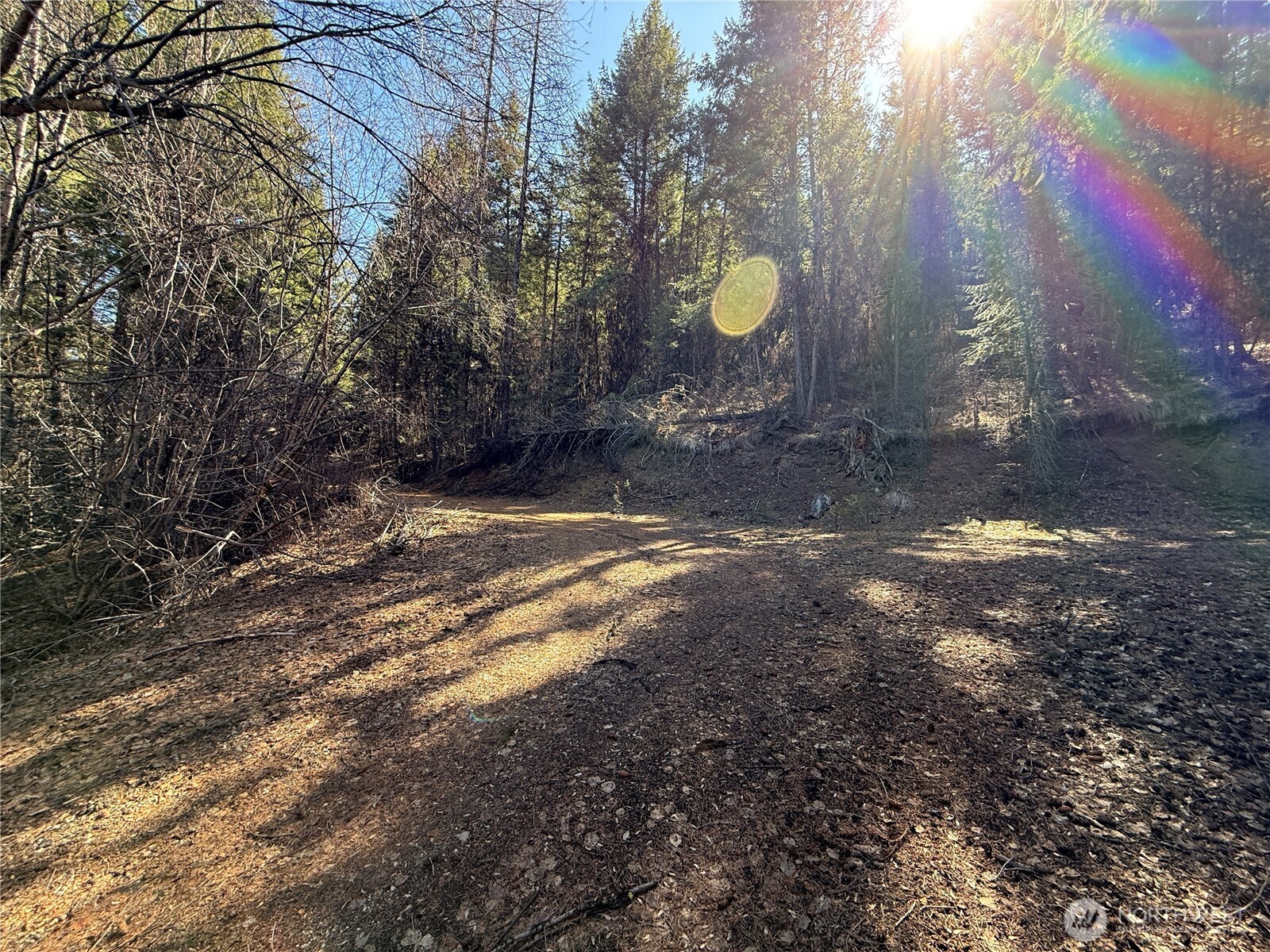 0 Coogan Creek Road Wauconda, WA 98859 - Photo 6 of 18 a view of a tree with a yard