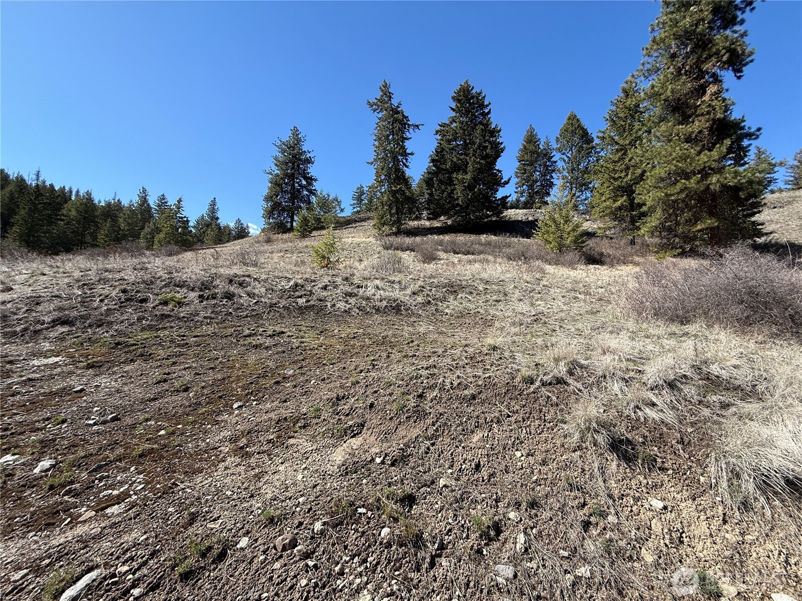 0 Coogan Creek Road Wauconda, WA 98859 - Photo 7 of 18 a view of a covered with snow in the background