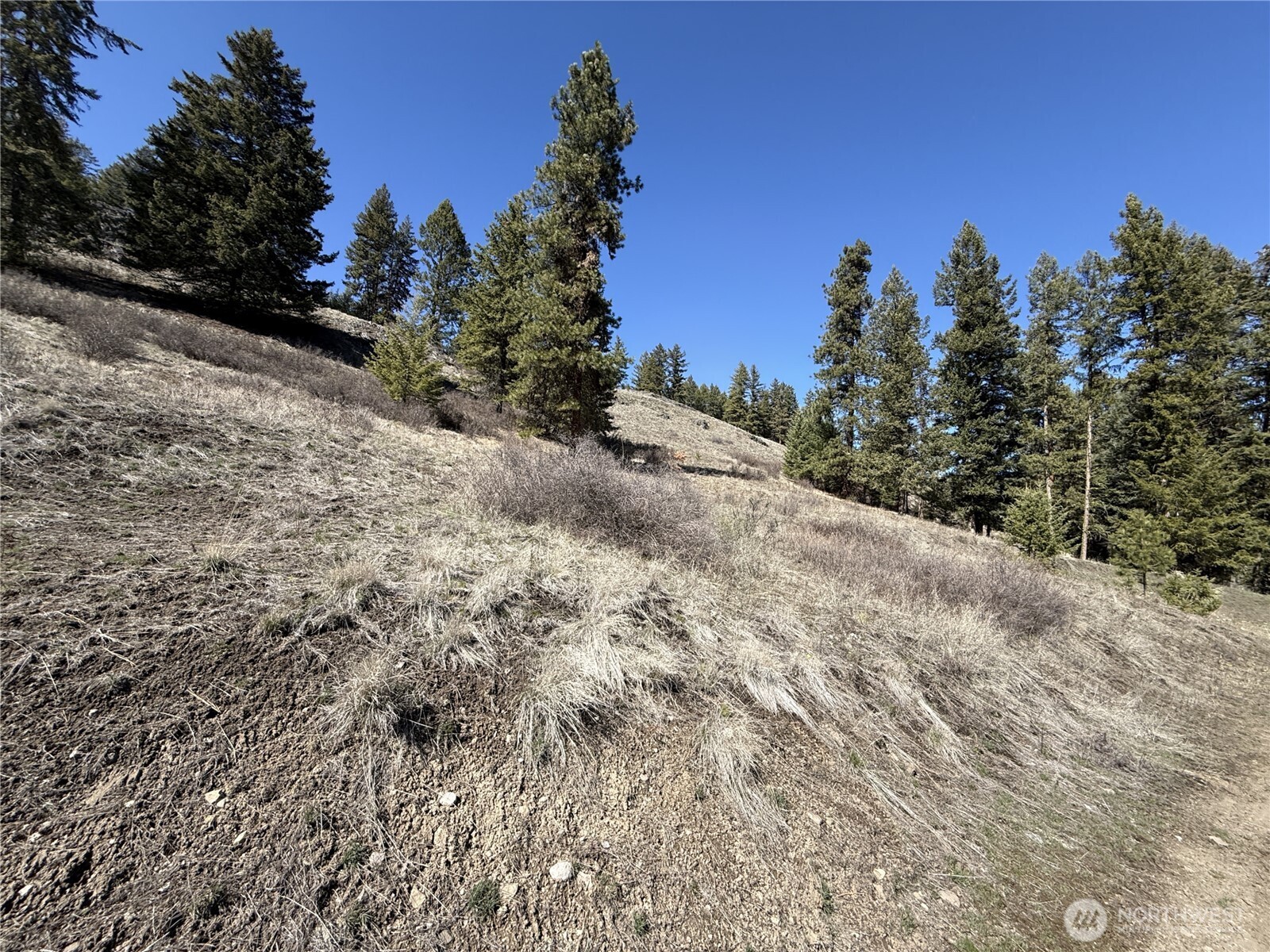 0 Coogan Creek Road Wauconda, WA 98859 - Photo 8 of 18 a view of a covered with snow in the background