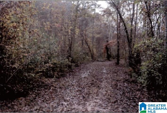 0 County Road 2, Unit 1 Heflin, AL 36264 - Photo 6 of 8