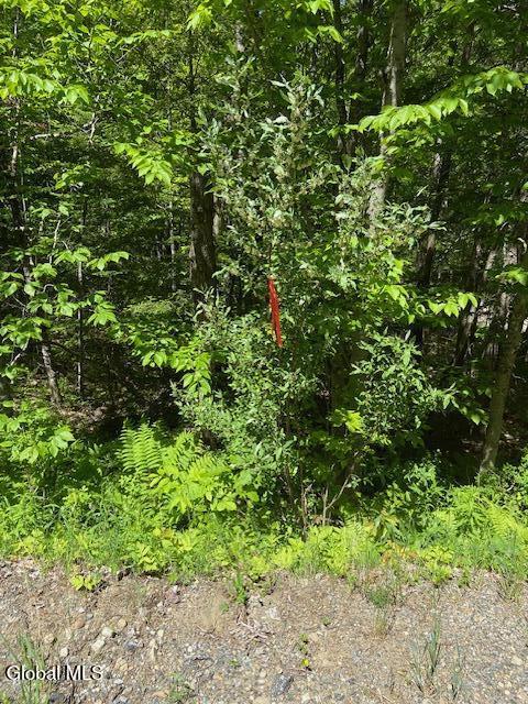 55 Fodder Road Stony Creek, NY 12878 - Photo 13 of 13 Start of property closest to Leppert